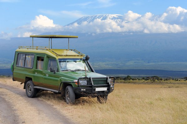 Comment bien profiter de votre safari en Tanzanie ?